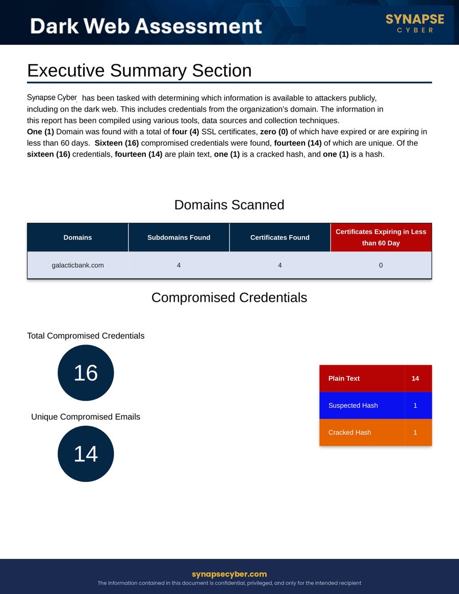 Dark Web Assessment sample report showing compromised credentials and breach analysis for a fictional company.
