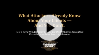 Watch the SynapseCyber MSP overview presentation